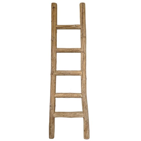 products/ivy-decorative-ladder-w-9-d-4-h-74-to-78-inches-419.00.png